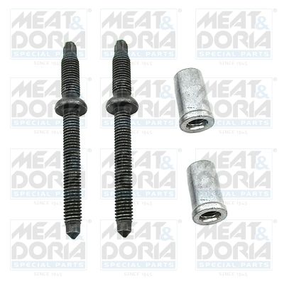 Zestaw naprawczy, układ Common Rail MEAT & DORIA 9861