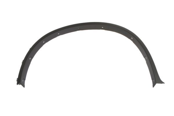 Elemente decorative/protectie, aripa BLIC 5703-04-0099421P