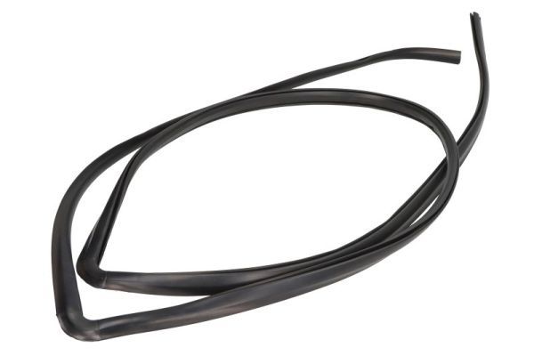 Elemente decorative/protectie, parbriz BLIC 5703-04-6037323Q
