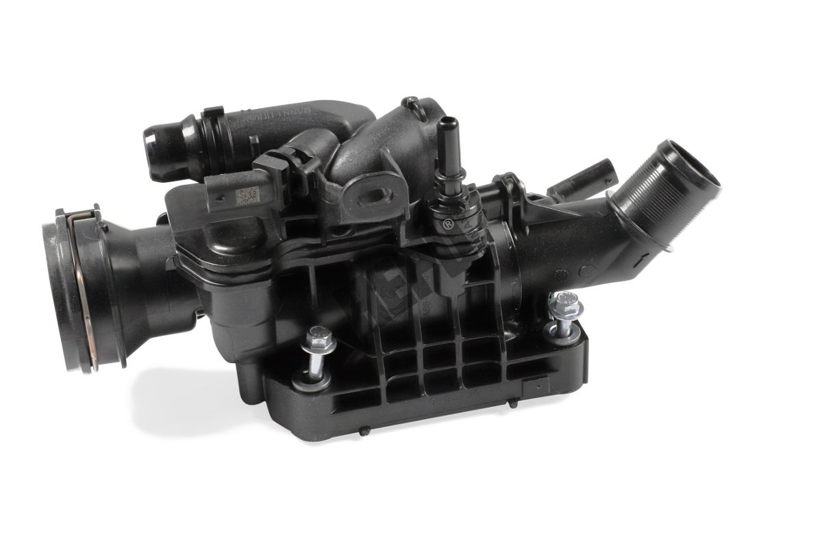 termostat,lichid racire HEPU TM1406