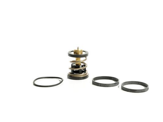 termostat,lichid racire MAHLE BEHR TX 496 91D