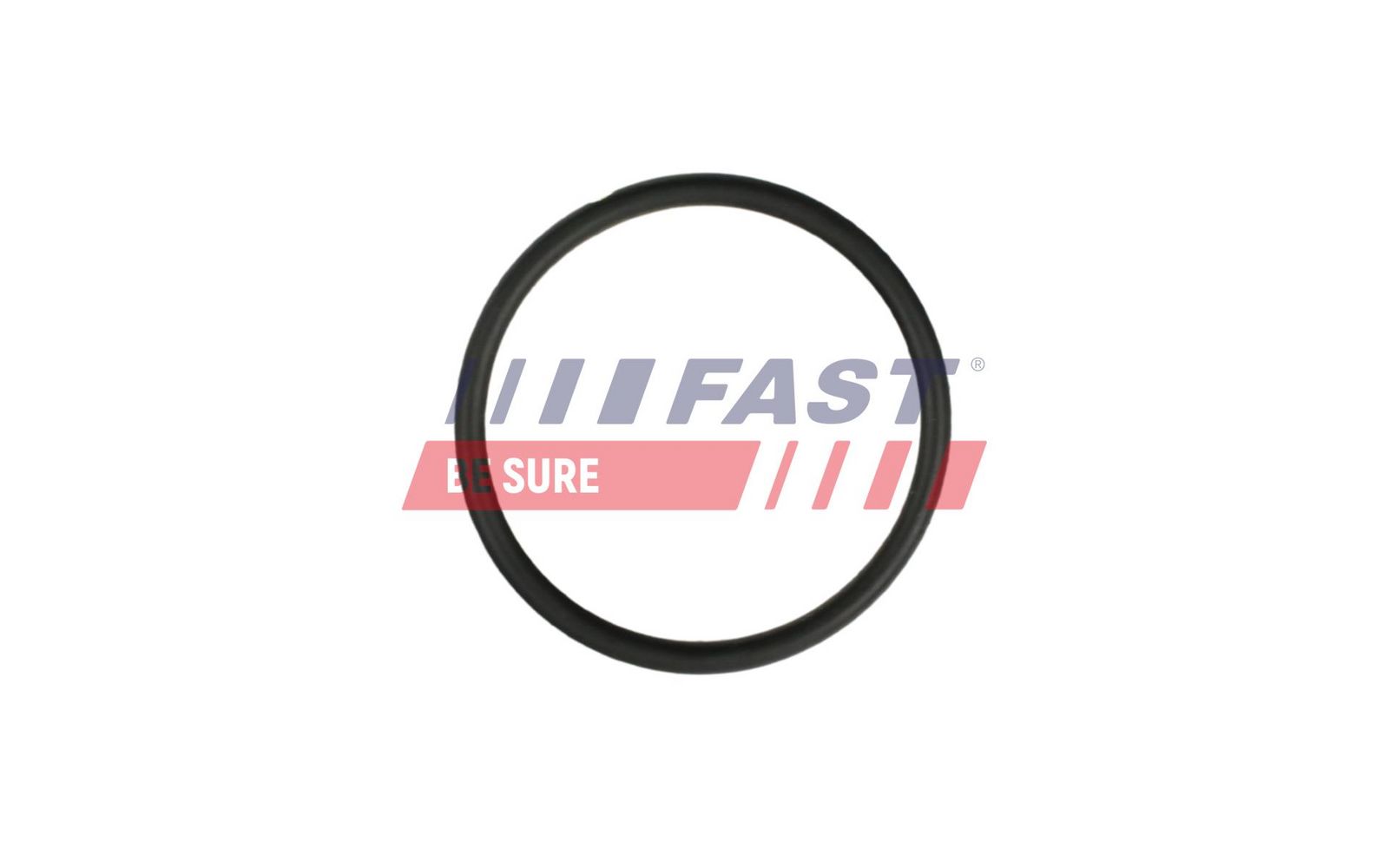 garnitura,conducta lichid de racire FAST FT49931