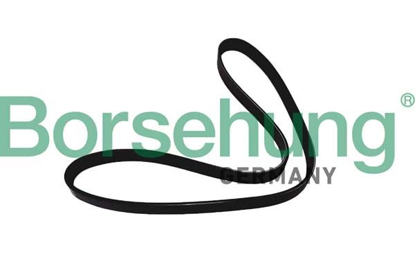 Pasek klinowy wielorowkowy BORSEHUNG B12386