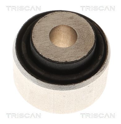 Łożyskowanie, wahacz TRISCAN 8500298096