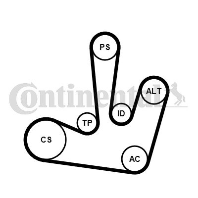 Zestaw paska klinowego wielorowkowego CONTINENTAL CTAM 6PK1795K1