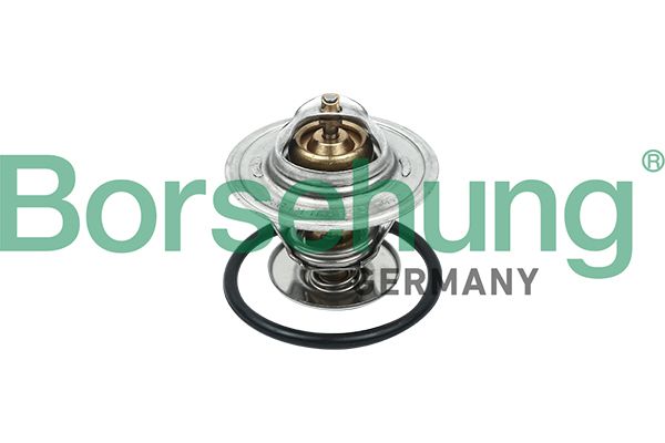 Termostat, środek chłodzący BORSEHUNG B18260