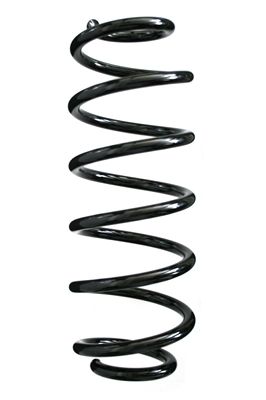 Arc spiral SPIDAN 85688