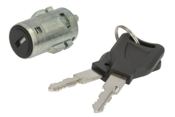 incuietoare usa PACOL RVI-DR-002