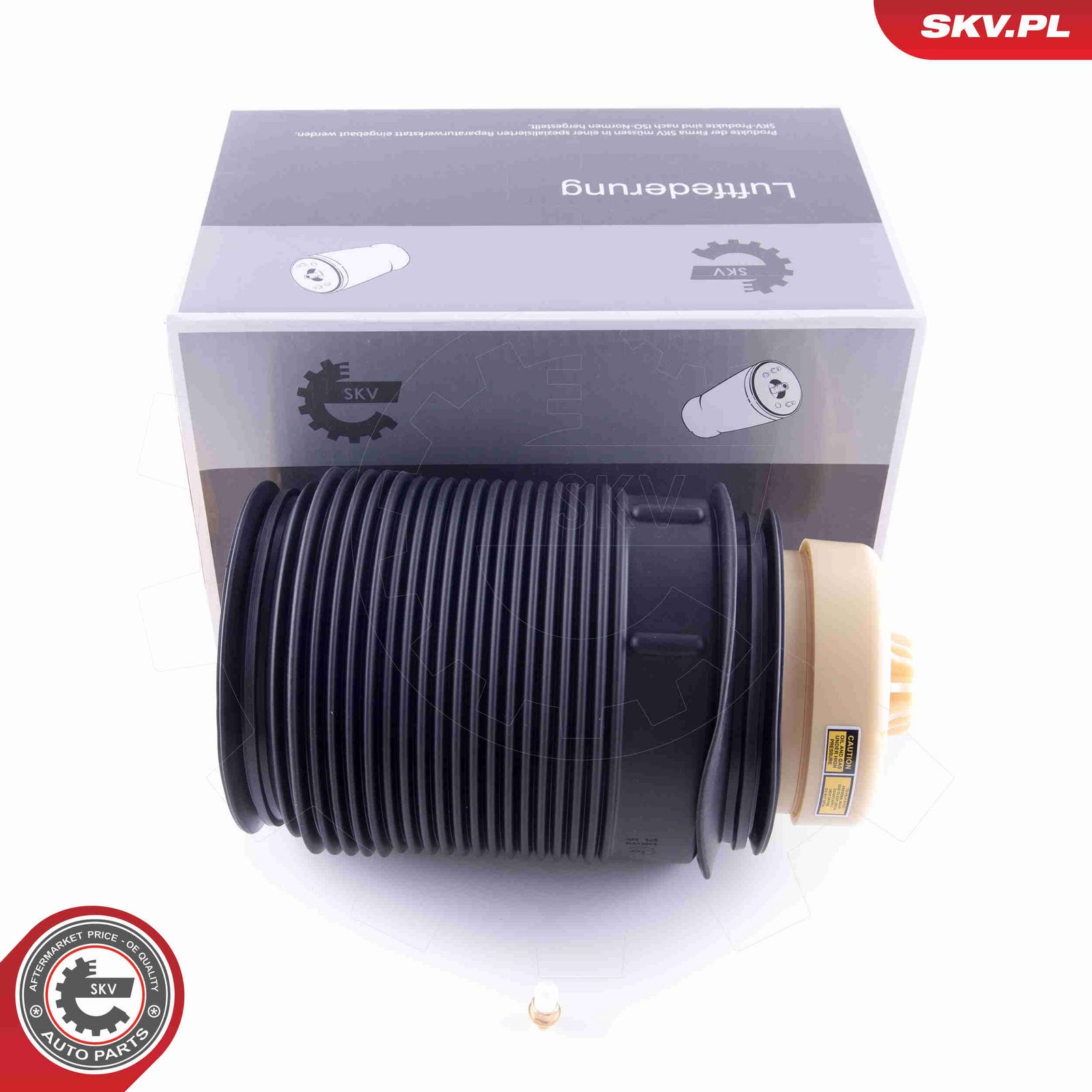 Pneimoatspere, Balstiekārta