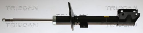 amortizor TRISCAN 8705 25213