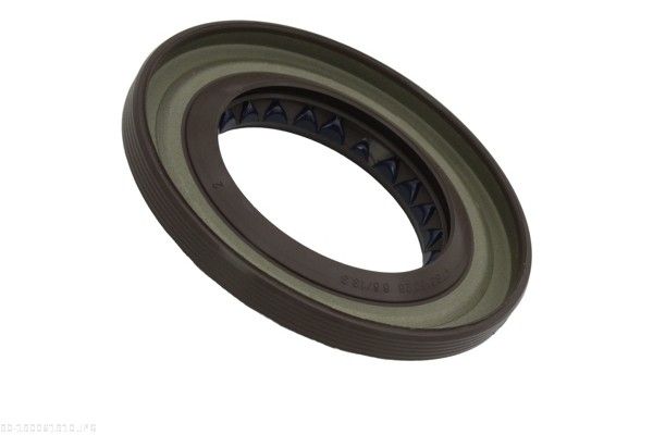 simering, diferential AUTOMEGA 190061910