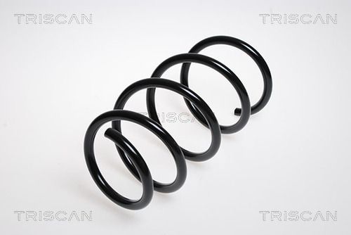 Sprężyna zawieszenia TRISCAN 8750 2569
