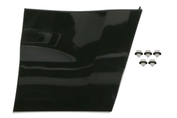 Elemente decorative/protectie, aripa BLIC 5703-08-6481374P