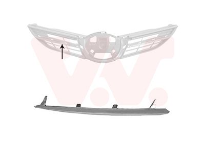 Banda de protectie, grila radiator VAN WEZEL 5407511