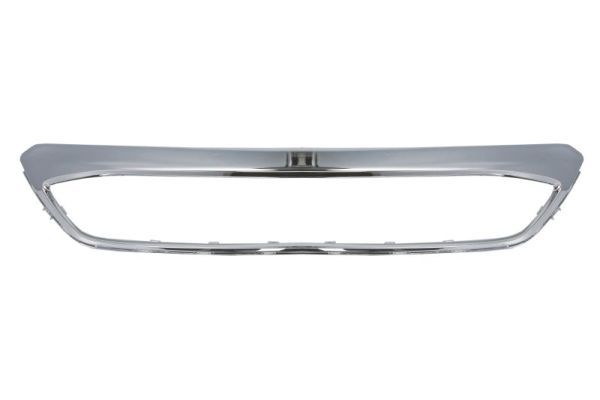 Banda de protectie, grila radiator BLIC 6502-07-2579981P