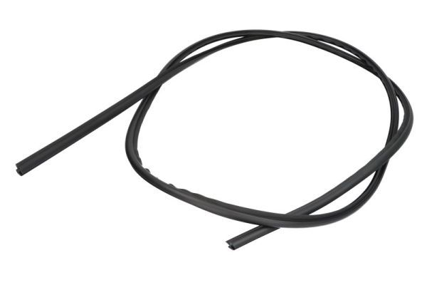 Elemente decorative/protectie, parbriz BLIC 5703-04-6037514Q