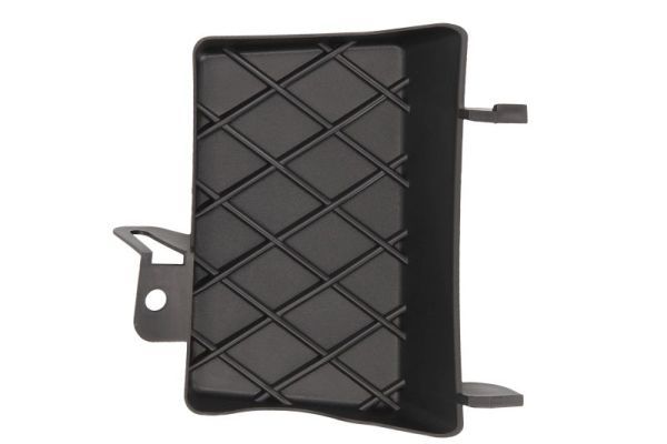 acoperire tampon,sistem de remorcare BLIC 5513-00-3206922PP