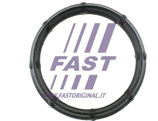 Uszczelka, kolektor dolotowy FAST FT49424
