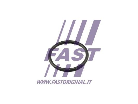 Uszczelka, termostat FAST FT49917