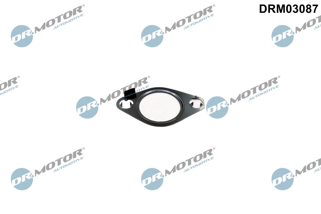 Uszczelnienie, zawór AGR DR.MOTOR AUTOMOTIVE DRM03087
