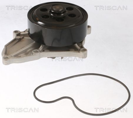 Pompă de apă, răcire motor TRISCAN 8600 40018