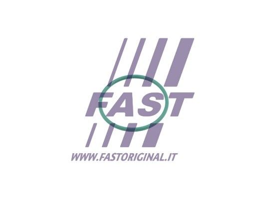 Pierścień uszczelniający, elast. przewód pow. do turbiny FAST FT49921