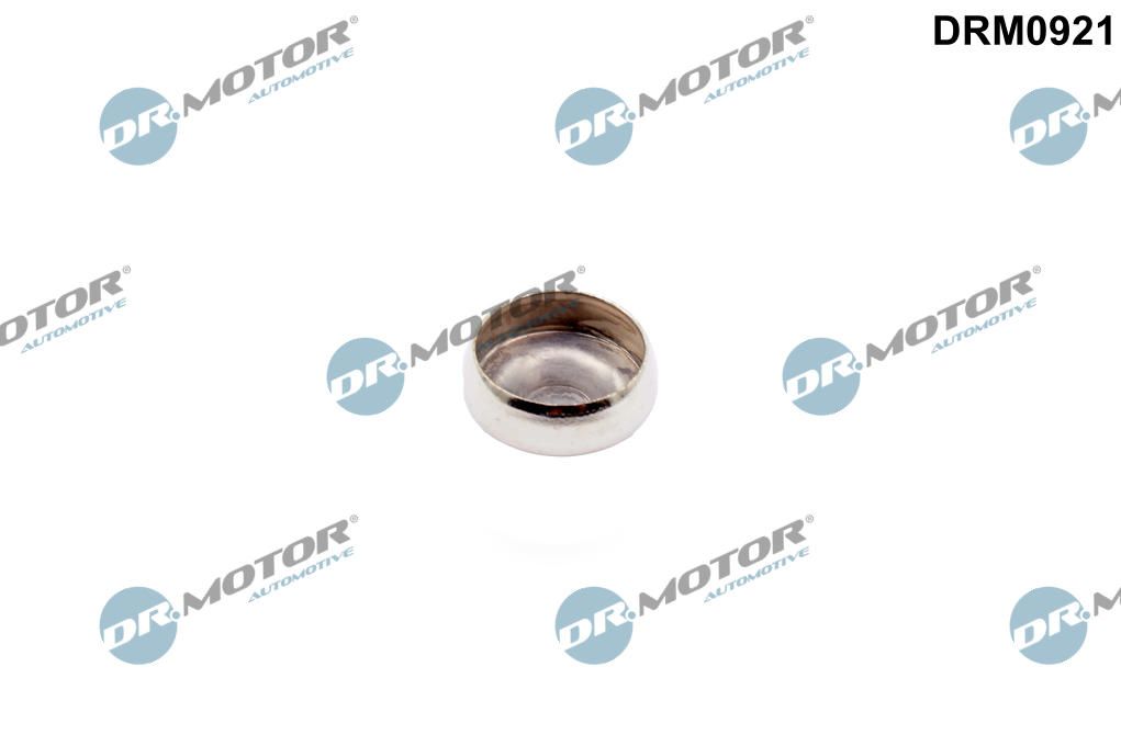 Dop, gaura de montaj ax culbutori Dr.Motor Automotive DRM0921