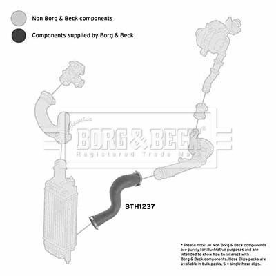 Przewód powietrza doładowującego BORG & BECK BTH1237
