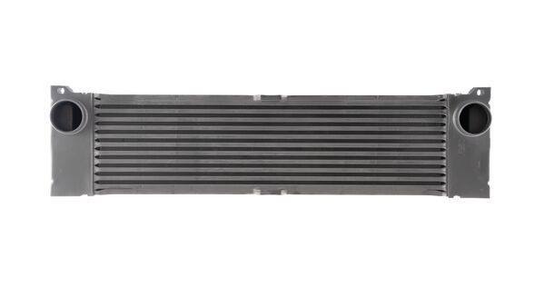 Mahle CI192000S