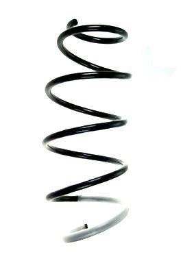 Arc spiral SPIDAN 85842