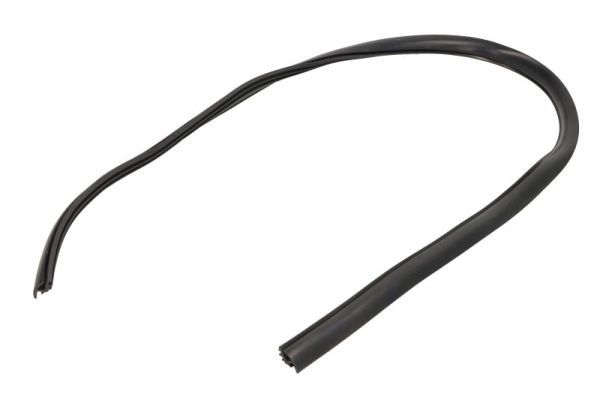 Elemente decorative/protectie, parbriz BLIC 5703-04-6037552Q