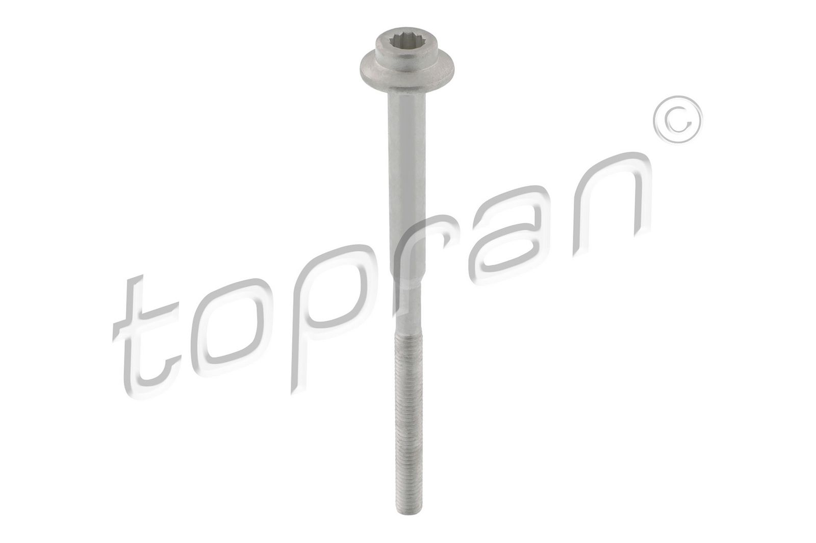 Surub, suport injector TOPRAN 120 665