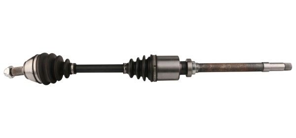 Planetara MTR 13216911