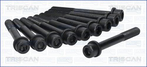 Zestaw śrub głowicy cylindrów TRISCAN 98-5001