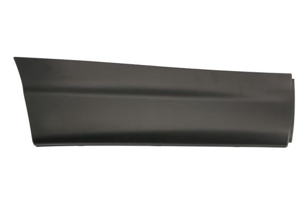 Elemente decorative/protectie, portiera BLIC DT662041A-AR00