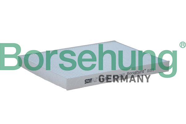 Filtru, aer habitaclu BORSEHUNG B10515