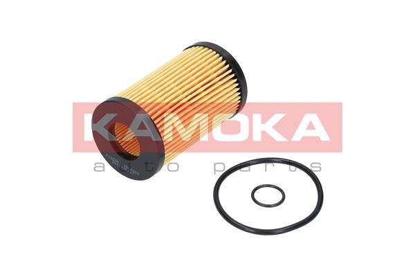 Olejový filtr KAMOKA F105301