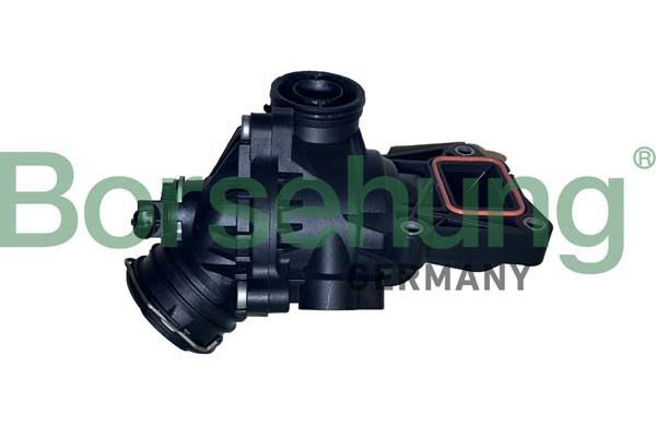 Termostat, środek chłodzący BORSEHUNG B10558