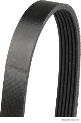 Pasek klinowy wielorowkowy HERTH+BUSS JAKOPARTS J1061840
