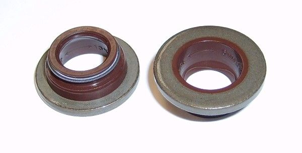 inel de etansare ELRING 599.255