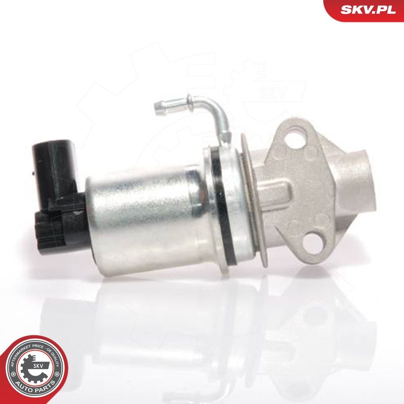 Levně AGR-Ventil ESEN SKV 14SKV018