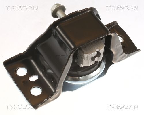 Łożyskowanie silnika TRISCAN 8505 25113