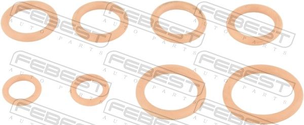 Pierścień Uszczelniający, przewód czynnika chłodniczego FEBEST 24400-003-KIT