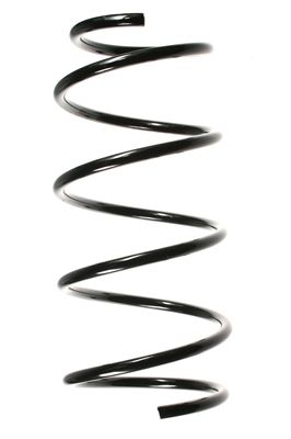 Arc spiral SPIDAN 49163