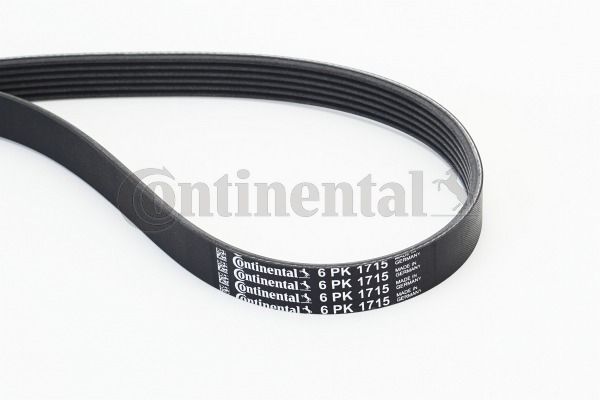 Pasek klinowy wielorowkowy CONTINENTAL CTAM 6PK1715