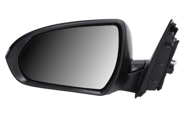 Oglinda exterioara BLIC 5402-20-1966316P