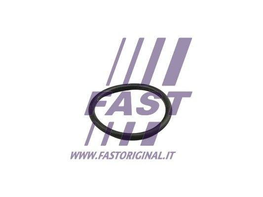 Pierścień uszczelniający, przewód sztywny płynu chłodzącego FAST FT49919