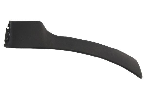 Ehis-/kaitseliist,Poritiib