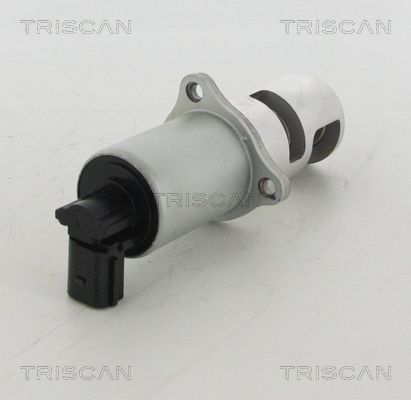 Zawór AGR TRISCAN 8813 10100