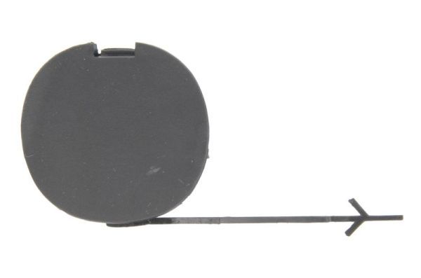 acoperire tampon,sistem de remorcare BLIC 5513-00-2013921P